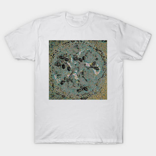 Celtic Pizza T-Shirt by Tovers